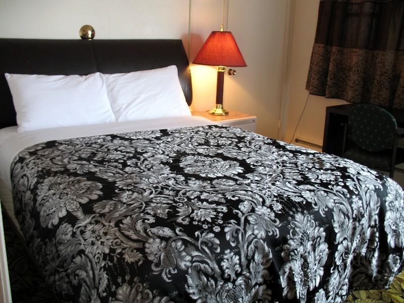 Stardust Motel Shaunavon Værelse billede